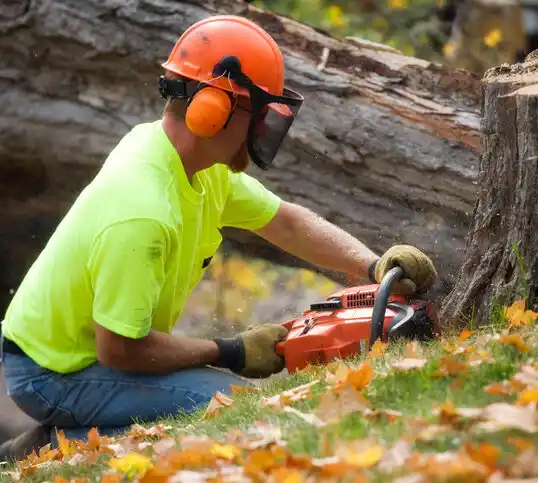 tree services Le Sueur